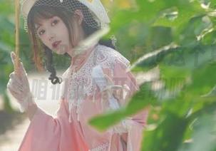 兔子Zzz不吃胡萝卜，透过这个夏日合集咱们就展开瞎聊吧