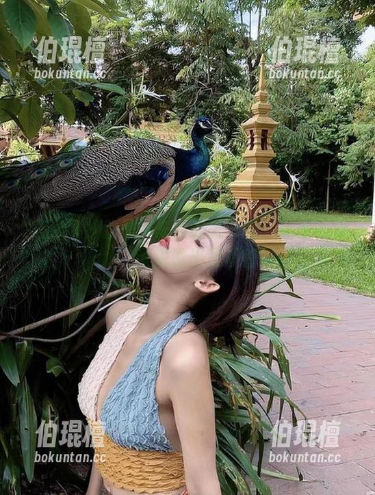 微密圈 - 就是阿朱啊的图书馆：图库资源，谁进谁出我不管