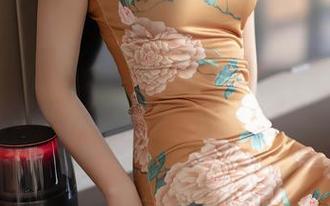 语画界 – 别小瞧绯月樱的女仆作品集，资源里藏着的真相，你发现了吗？