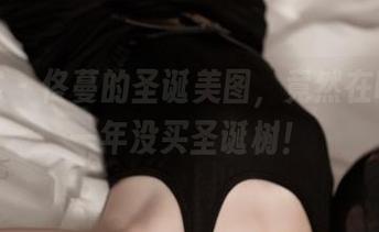 青豆客 – 佟蔓的圣诞美图，竟然在唠叨我一年没买圣诞树！